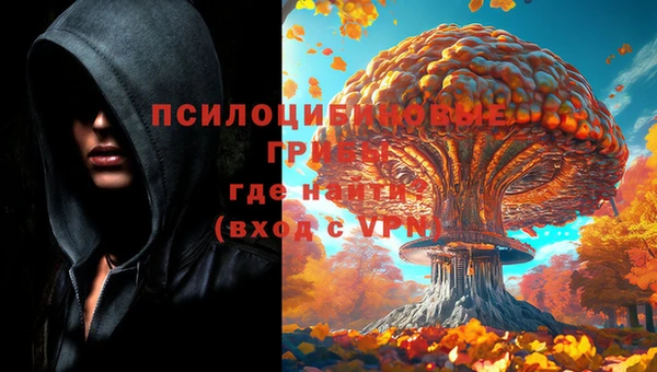 ПСИЛОЦИБИНОВЫЕ ГРИБЫ Беломорск