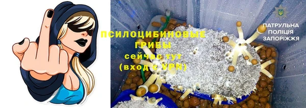 амф Белоозёрский