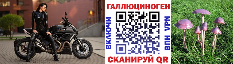 Псилоцибиновые грибы ЛСД  закладка  Елизаветинская 